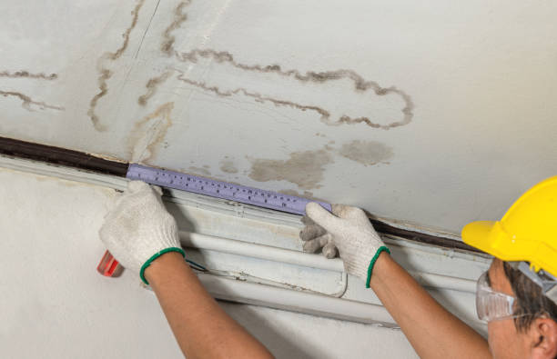 Reliable Water Damage contractor in Newcastle, WY by Water Damage Irwin